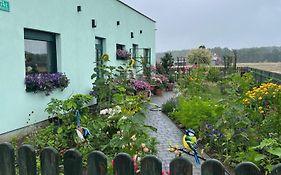 Zielona Przystań